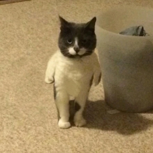 Meet your Posher, Andrew - Picture 1 of 1